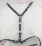 Black Domination Harness - The Cursed Closet