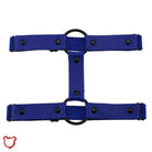 Black 'O' ring garter (1) "O - Ring Black Garter (1)" - The Cursed Closet