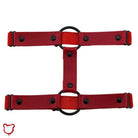 Black 'O' ring garter (1) "O - Ring Black Garter (1)" - The Cursed Closet