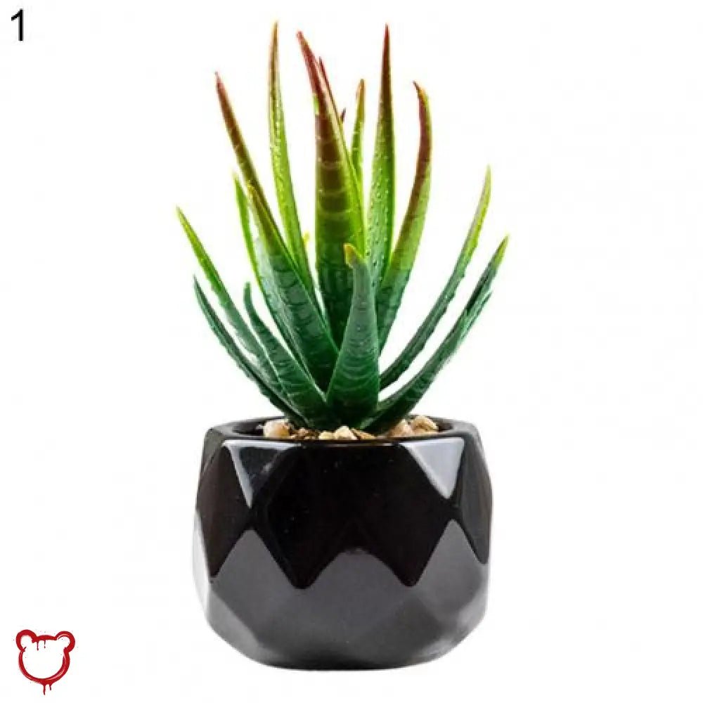 Black Pot Succulent in 11 Designs - The Cursed Closet