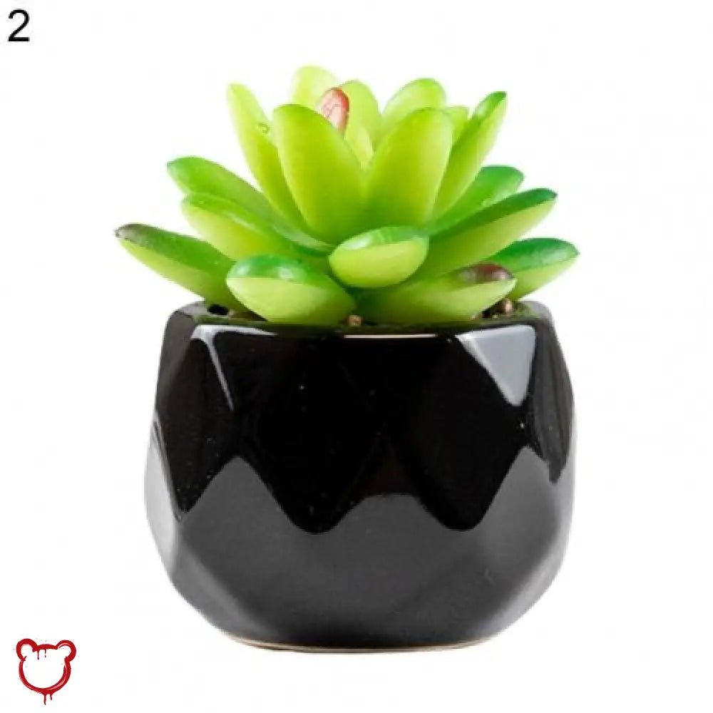 Black Pot Succulent in 11 Designs - The Cursed Closet