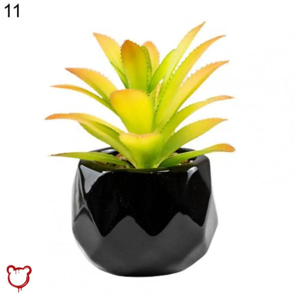 Black Pot Succulent in 11 Designs - The Cursed Closet