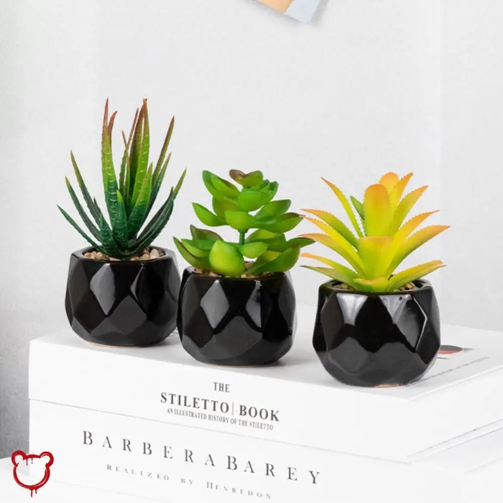 Black Pot Succulent in 11 Designs - The Cursed Closet