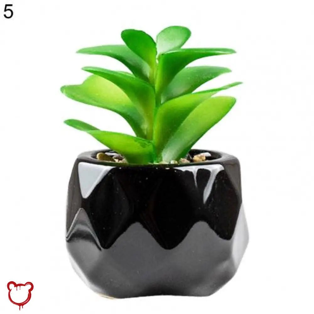 Black Pot Succulent in 11 Designs - The Cursed Closet