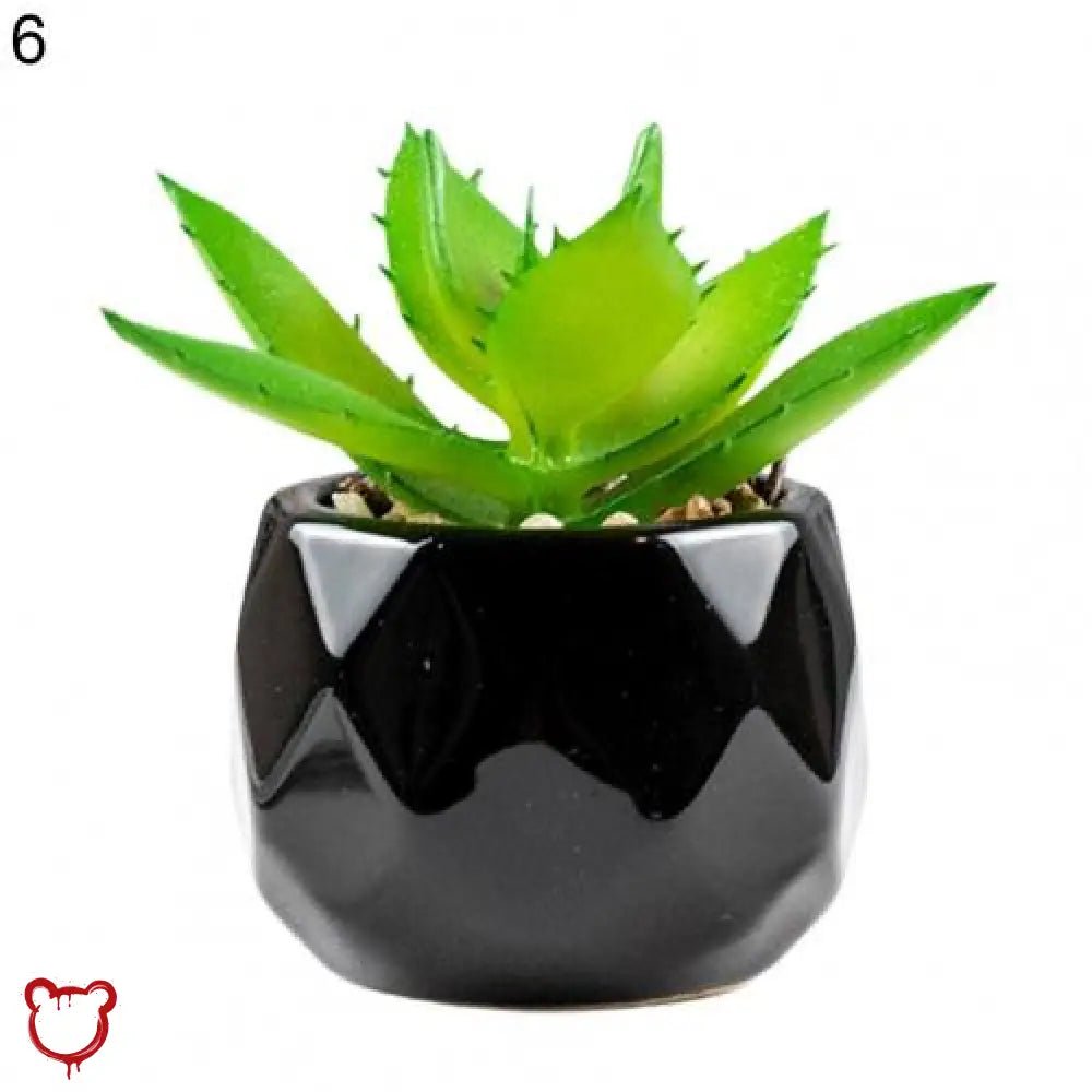 Black Pot Succulent in 11 Designs - The Cursed Closet