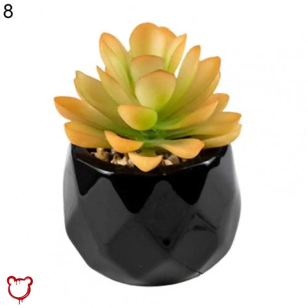 Black Pot Succulent in 11 Designs - The Cursed Closet