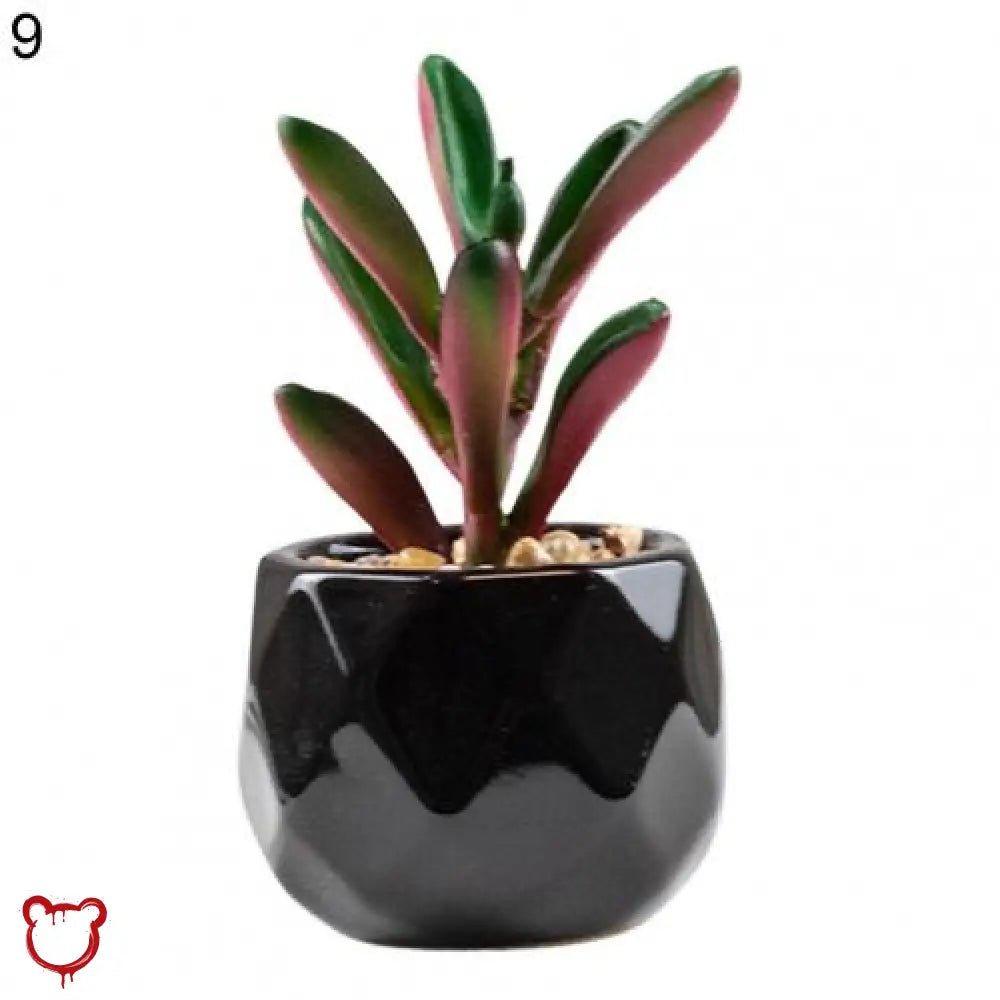 Black Pot Succulent in 11 Designs - The Cursed Closet