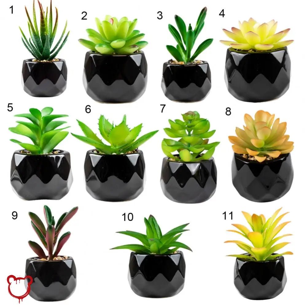 Black Pot Succulent in 11 Designs - The Cursed Closet