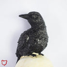 Crow Bones Outdoor Lights - The Cursed Closet