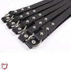 Faux Leather Metal Ring Belt - The Cursed Closet