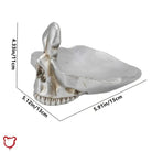 Gothic Skull Statue Glass - The Cursed Closet