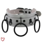 Scorpio's Gothic Circle Choker - The Cursed Closet