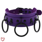 Scorpio's Gothic Circle Choker - The Cursed Closet