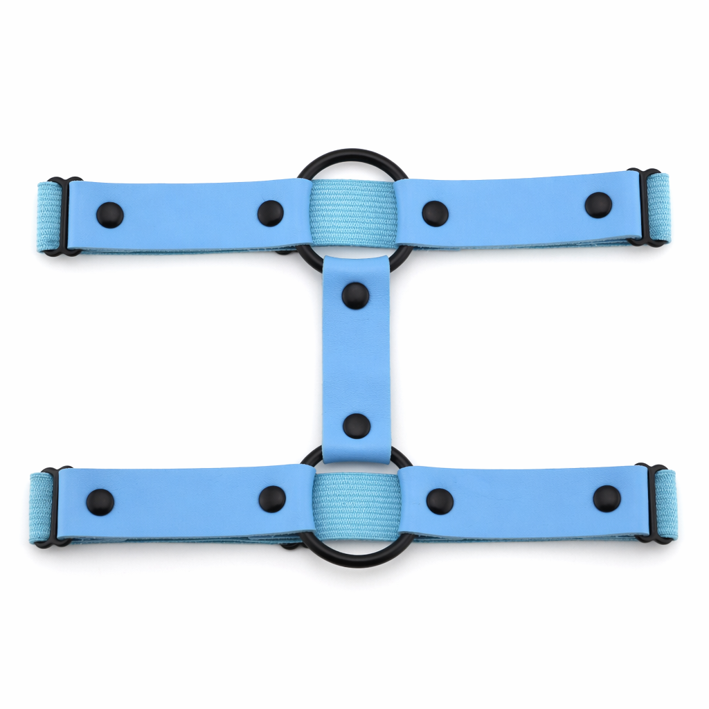 Black 'O' ring garter (1)
"O-Ring Black Garter (1)" Sky Blue