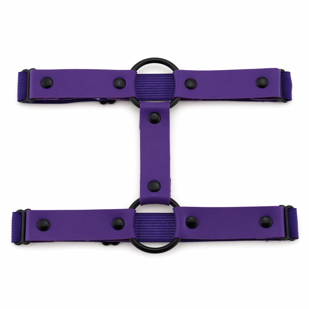 Black 'O' ring garter (1)
"O-Ring Black Garter (1)" Purple