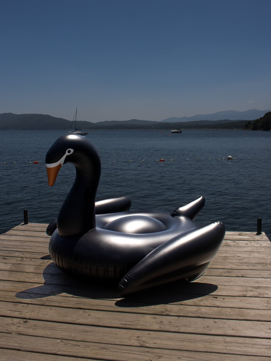 Wicked Swan Float - The Cursed Closet