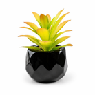 Black Pot Succulent in 11 Designs 11