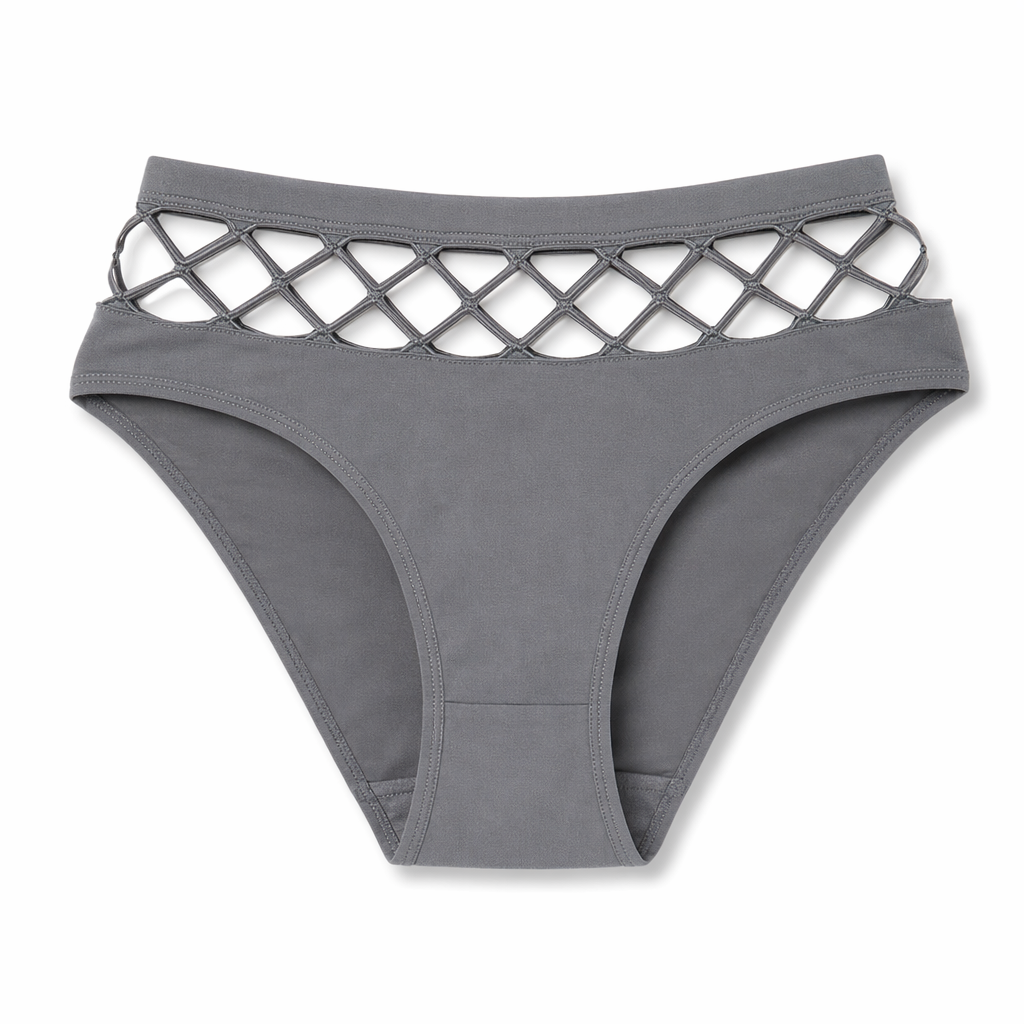 Mesh Nylon Briefs Gray