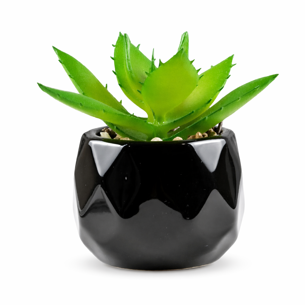 Black Pot Succulent in 11 Designs 6