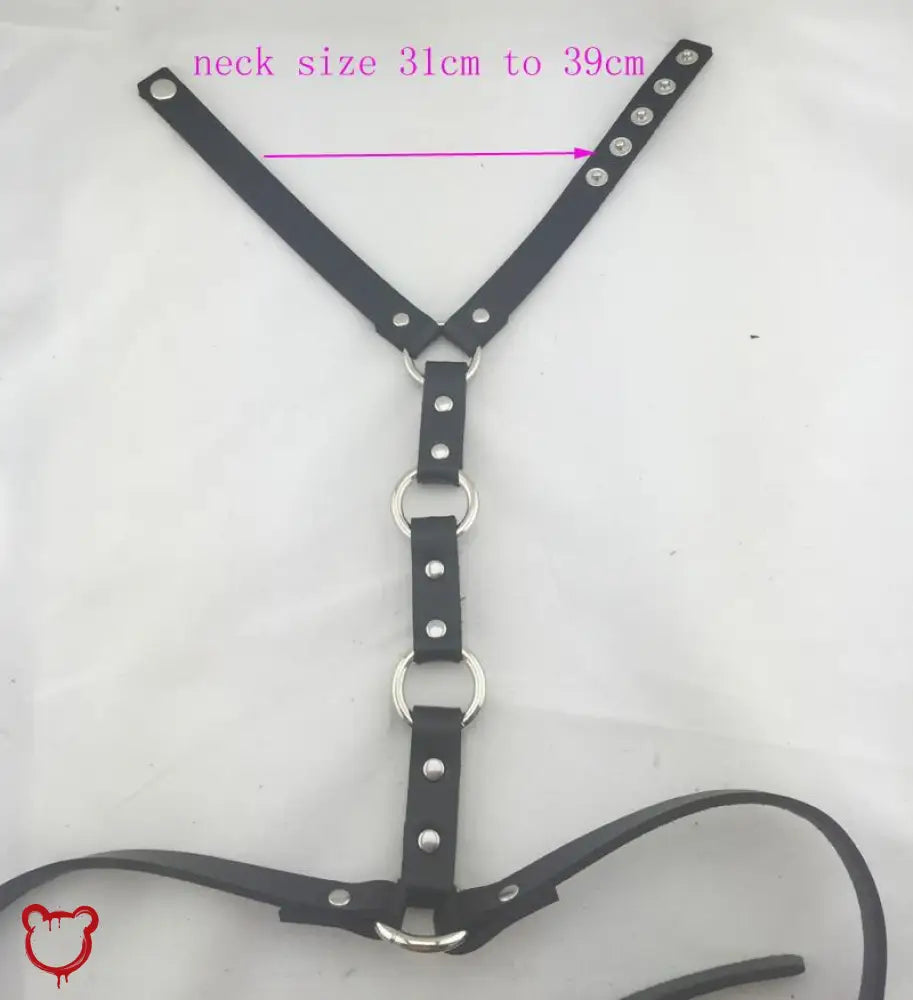 Black Domination Harness Accessories