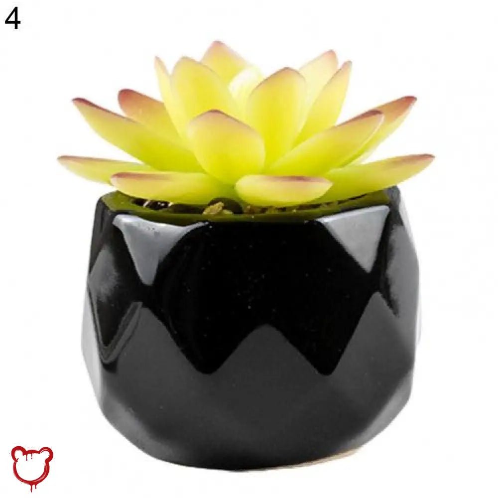 Black Pot Succulent in 11 Designs - The Cursed Closet