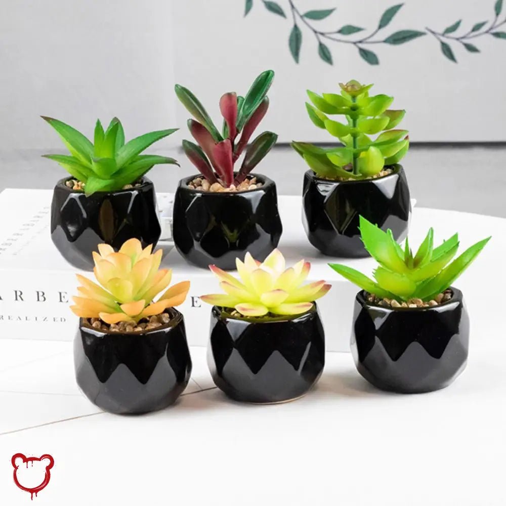Black Pot Succulent in 11 Designs - The Cursed Closet
