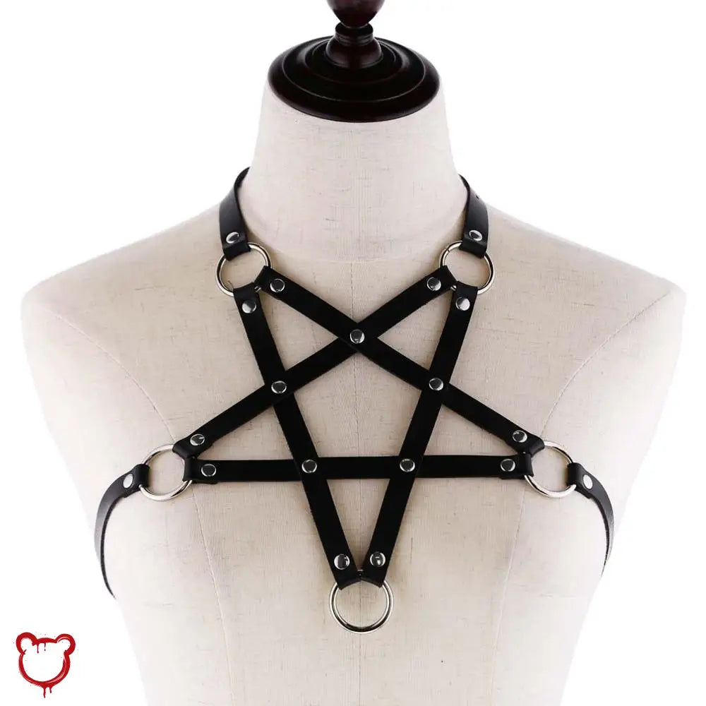 Black Pu Leather Harness Accessories